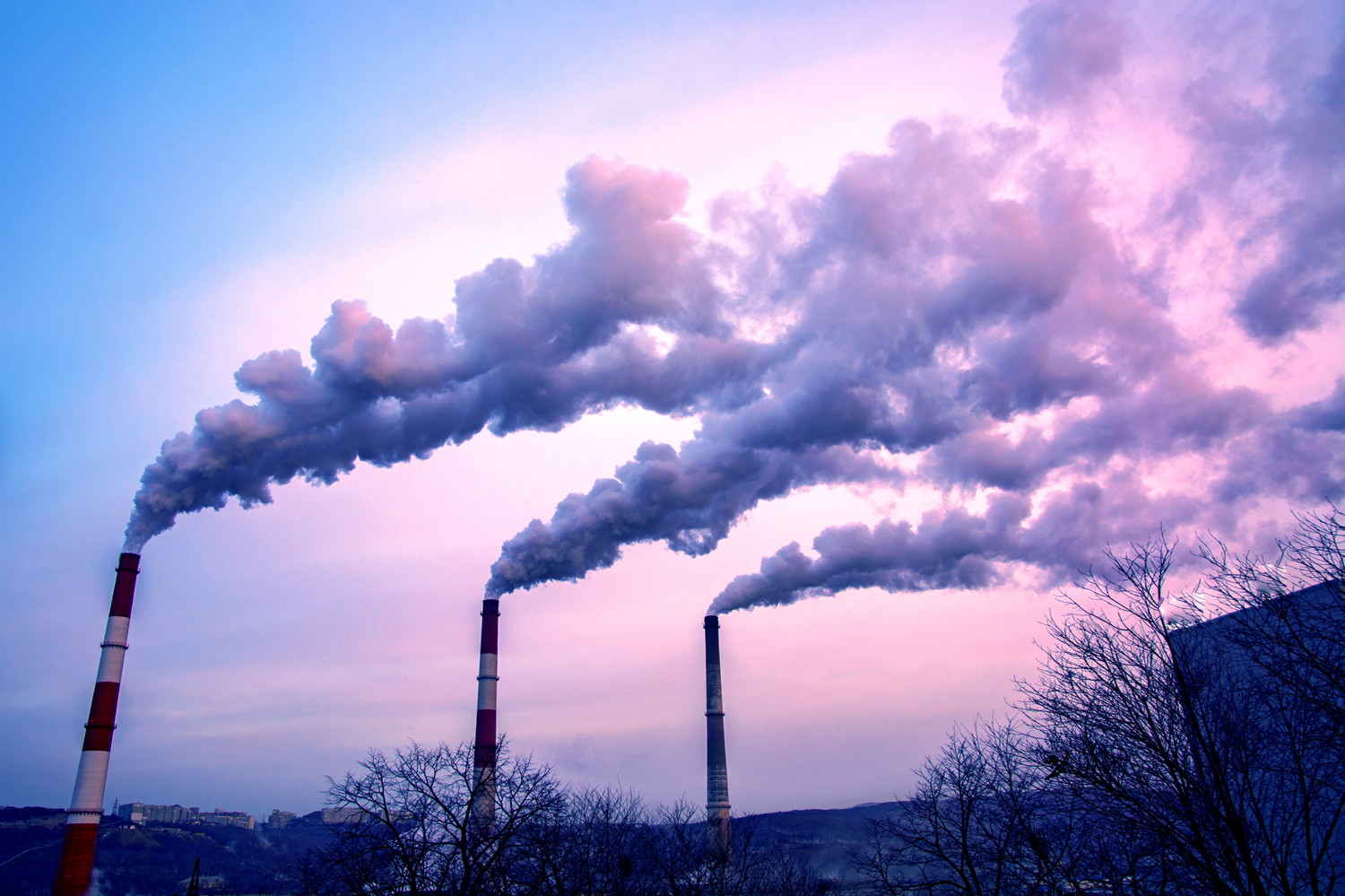 株式会社トップトラスト